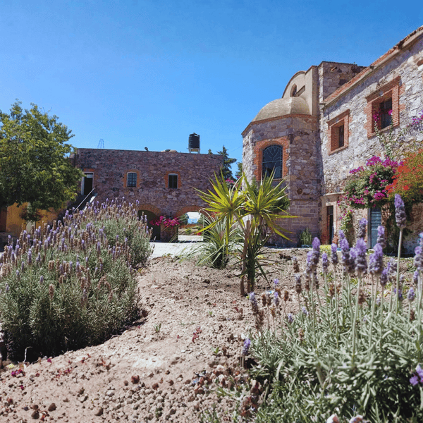 Ex Hacienda San Antonio