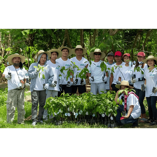 Actividades de impacto